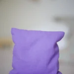 Img 4310.jpg Img 4310.jpg