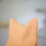 Img 4323.jpg Img 4323.jpg