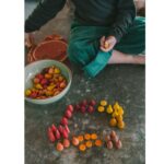 Warm Mandala Mix (5)