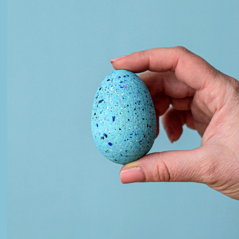 Brontosaurus Eggs Set~6308