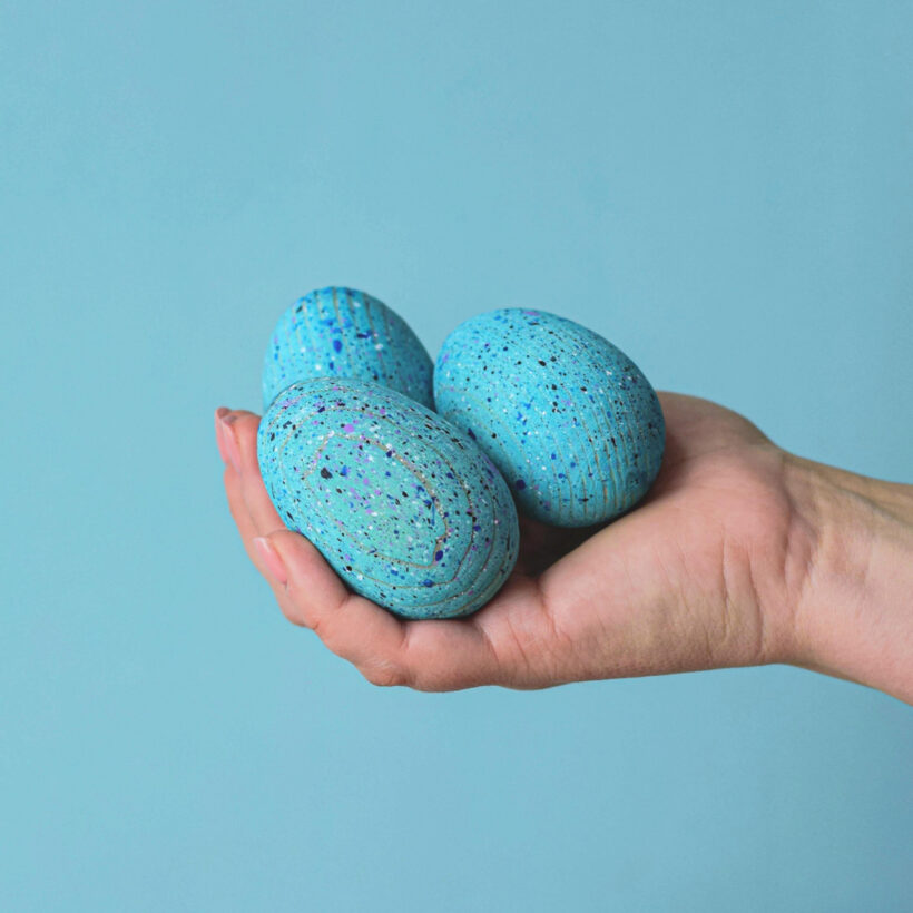Brontosaurus Eggs Set~6309