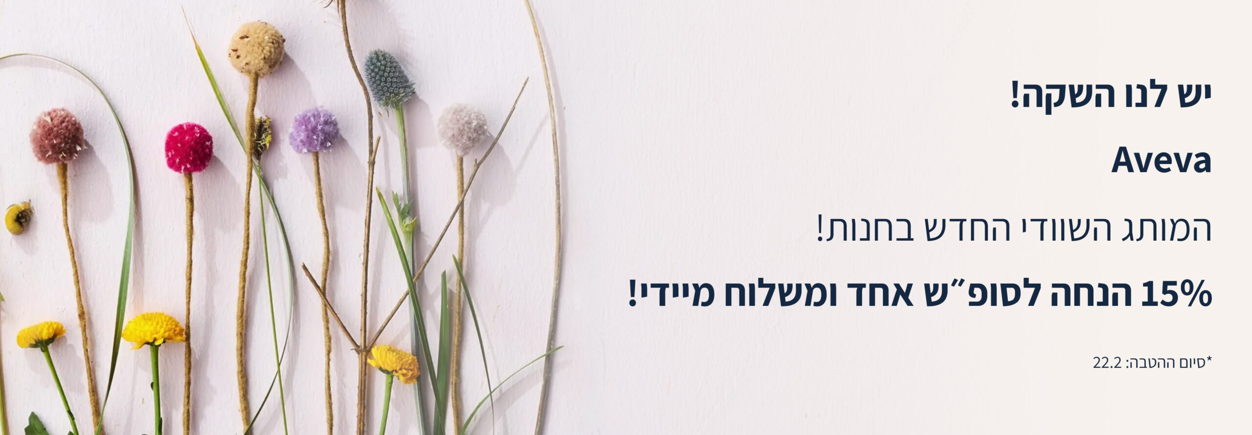 Hero Banner Desktop Aveva