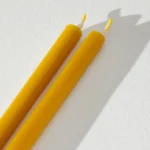 Ovo Things Studija 081