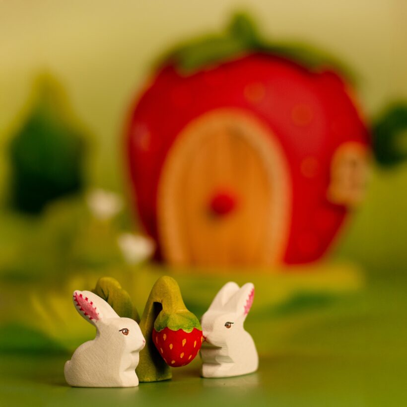 Strawberry Plant~5684669