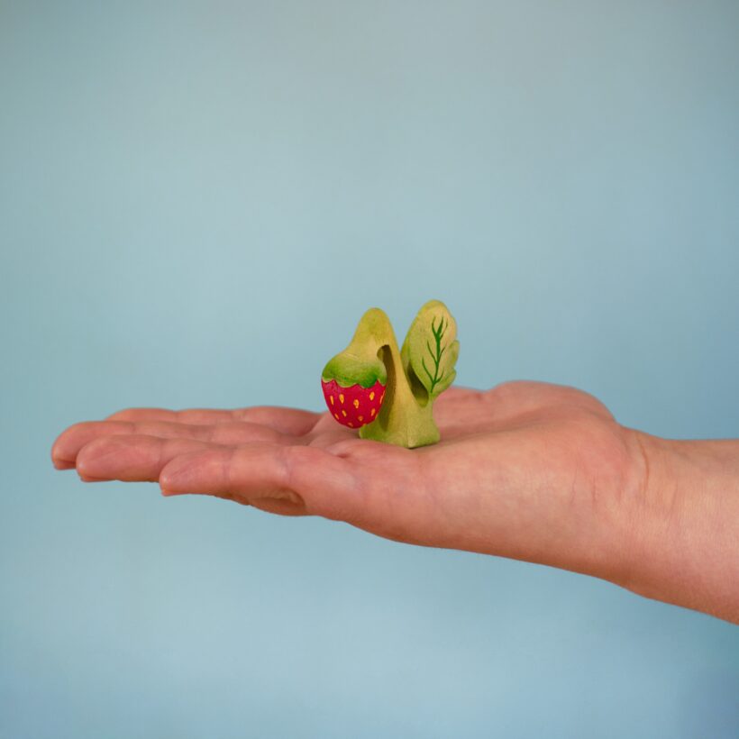 Strawberry Plant~5684672