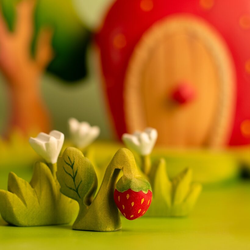 Strawberry Plant~5684783