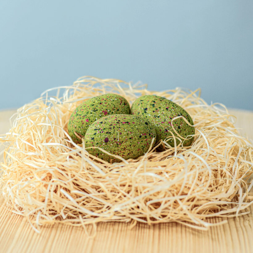 T Rex Eggs Set~6336