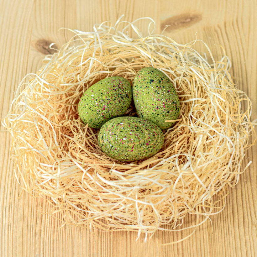 T Rex Eggs Set~6338