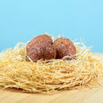 Triceratops Eggs Set~6869