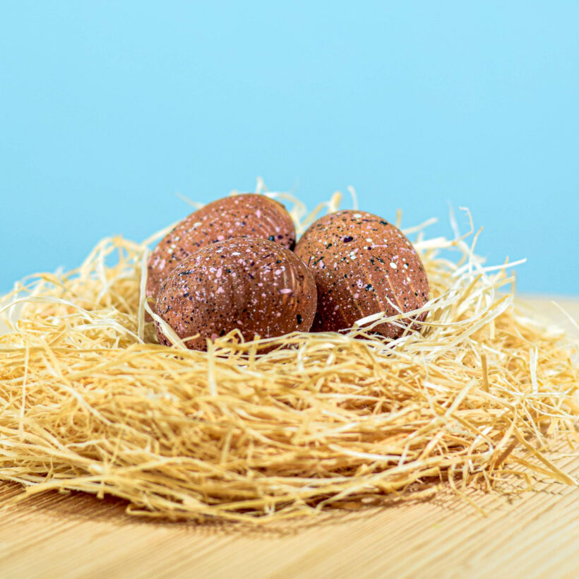 Triceratops Eggs Set~6869