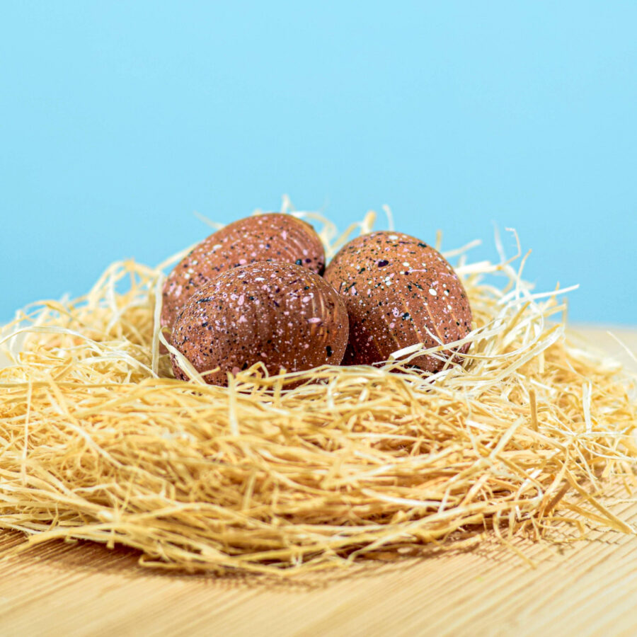 Triceratops Eggs Set~6869