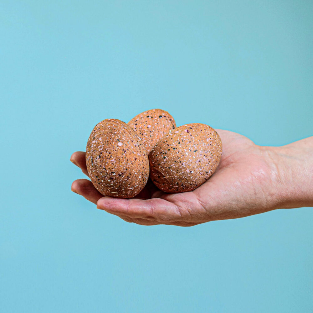 Triceratops Eggs Set~6870