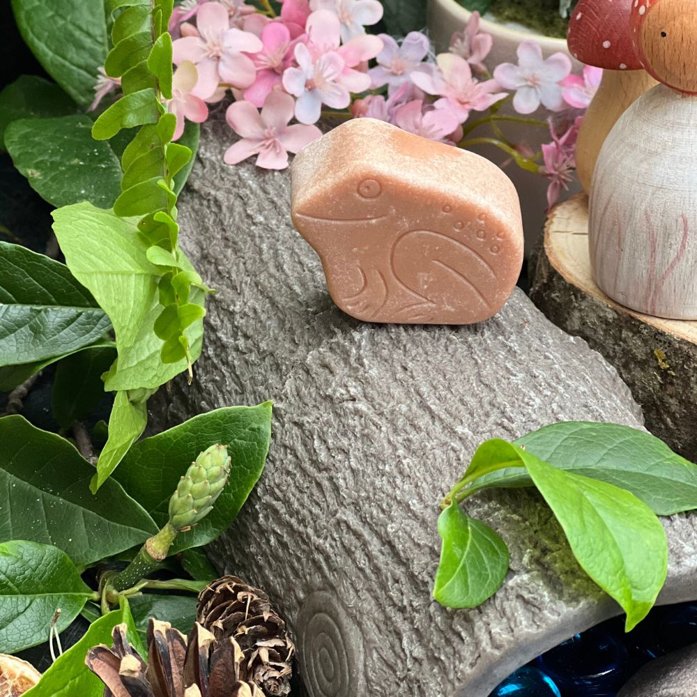 Hollow Log (10)