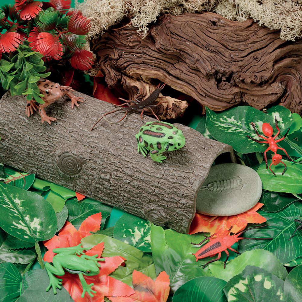 Hollow Log (3)