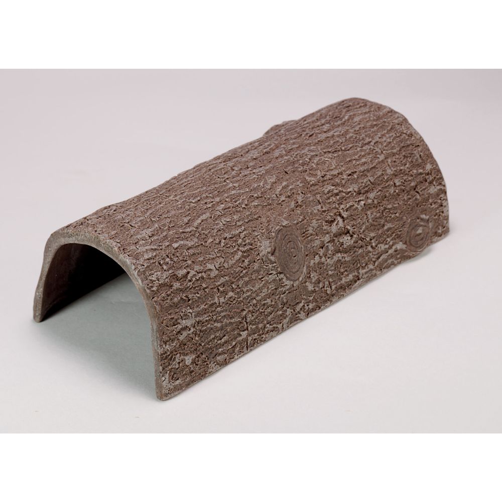 Hollow Log (8)