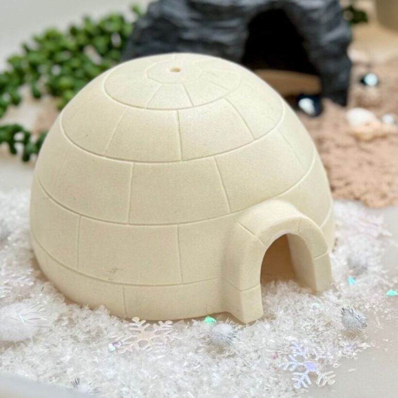 Igloo (3)