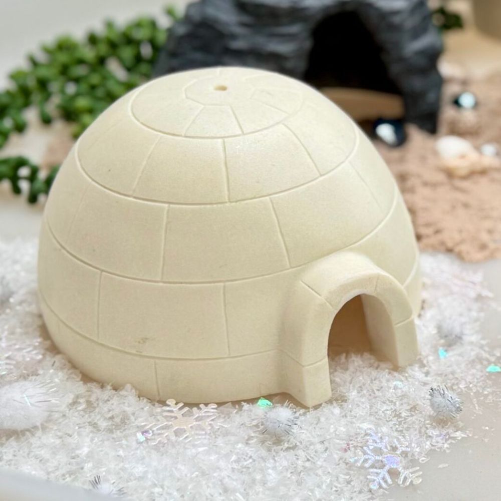 Igloo (3)