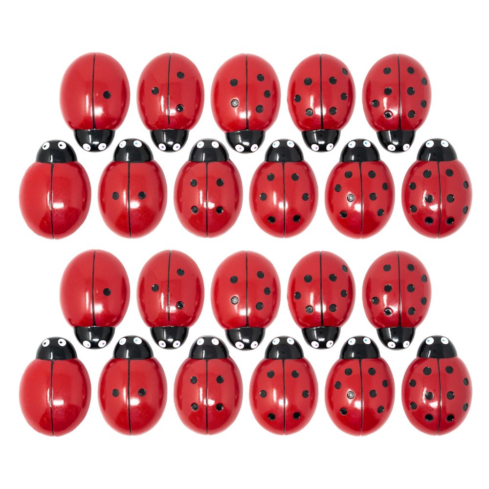 Ladybug Counting Stones (1)