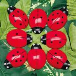 Ladybug Counting Stones (3)