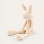 Daniel Le Lapin Ml 3575337