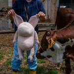 Helmut Le Cochon Grand 722254