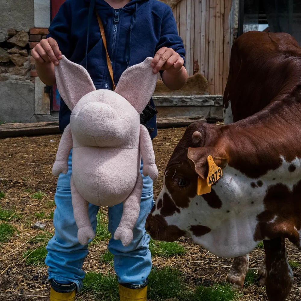 Helmut Le Cochon Grand 722254