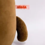 Momo Lhippopotame L 8486995