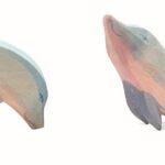 2293 2292 Delfin Kopf Tief Kopf Hoch 1920x1920 2293 2292 Delfin Kopf Tief Kopf Hoch 1920x1920