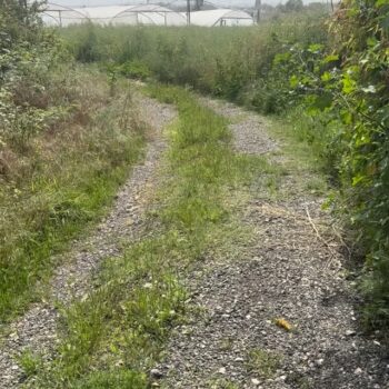 מזל טוב עומר אהוב שלנו🌾