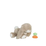 Binky Barnyard Hop 5updated 2000x.png