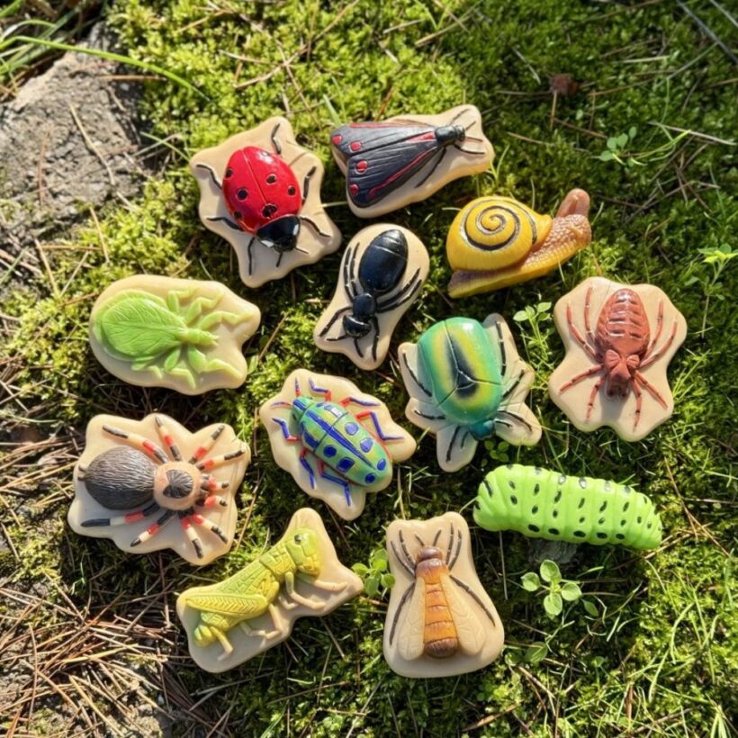 Bugs – Sensory Play Stones (1)