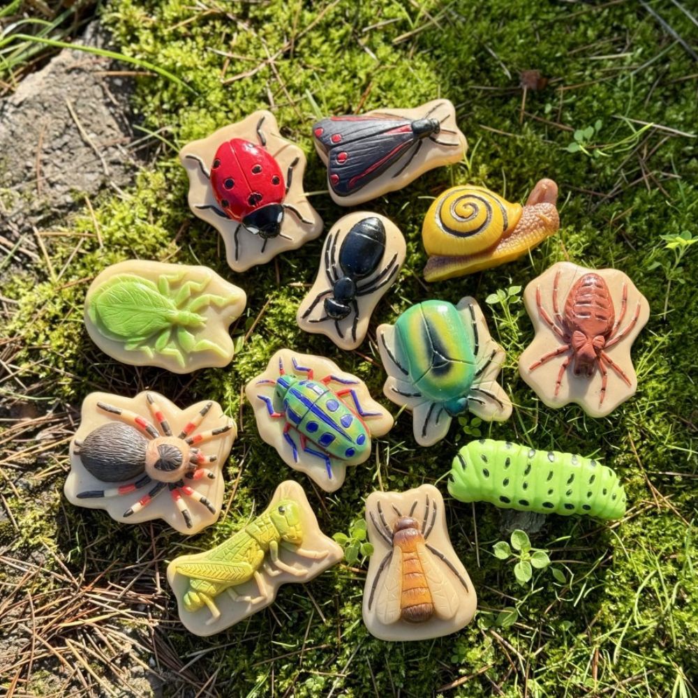 Bugs – Sensory Play Stones (1)