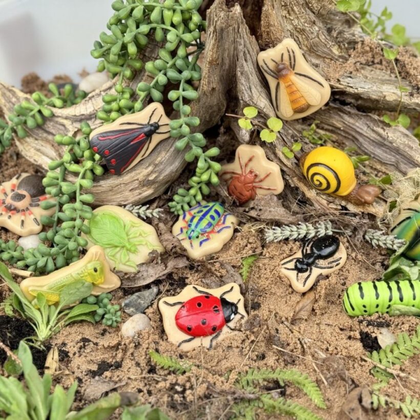Bugs – Sensory Play Stones (2)