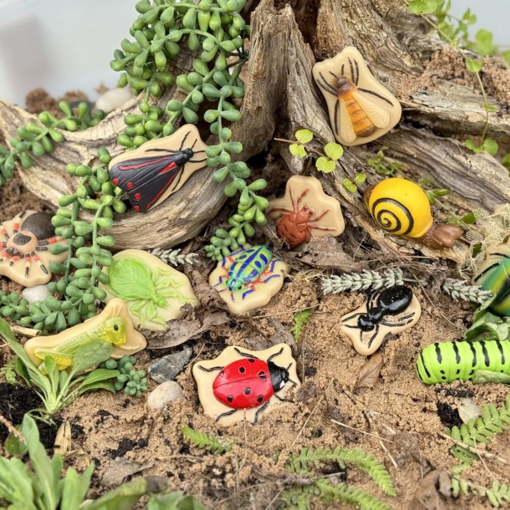 Bugs – Sensory Play Stones (2)