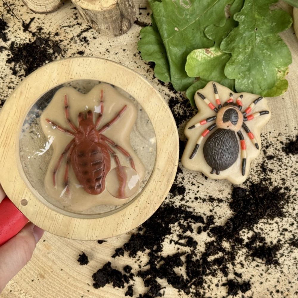 Bugs – Sensory Play Stones (5)