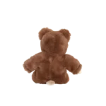 Cozy Day Dinkum Bobby Bear 2updated 2000x.png