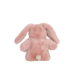 Cozy Day Dinkum Bunny Pinkie 2updated 2000x.png