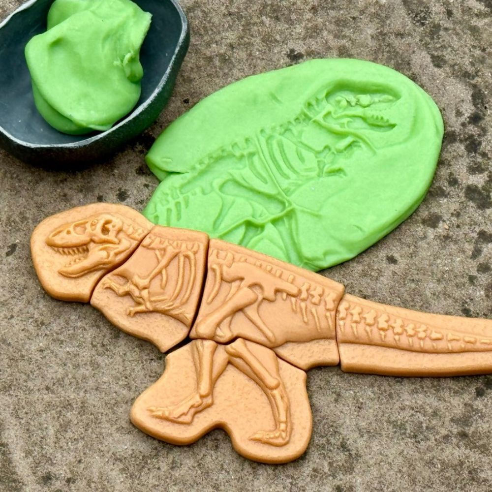 Dig And Discover – Ankylosaurus & Tyrannosaurus Rex (1)