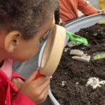 Dig And Discover – Ankylosaurus & Tyrannosaurus Rex (10)