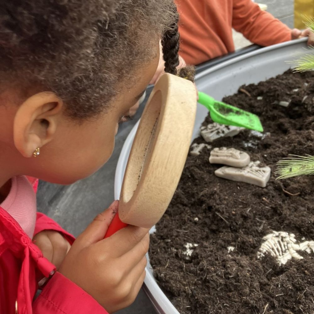 Dig And Discover – Ankylosaurus & Tyrannosaurus Rex (10)