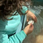 Dig And Discover – Ankylosaurus & Tyrannosaurus Rex (2)