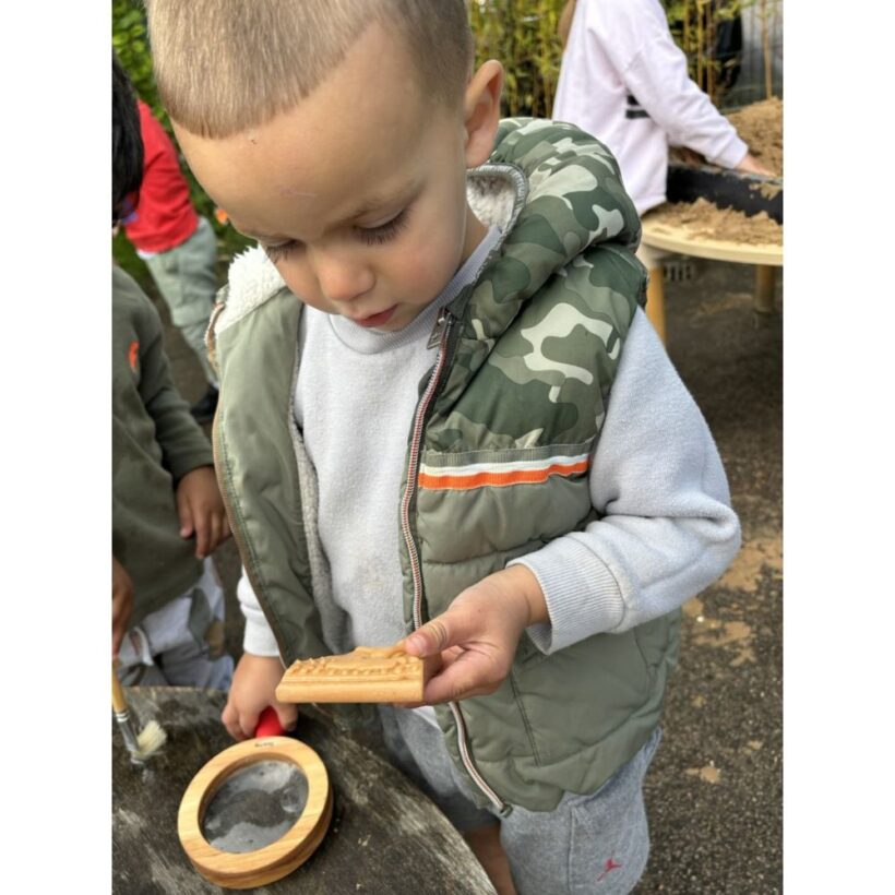 Dig And Discover – Ankylosaurus & Tyrannosaurus Rex (3)