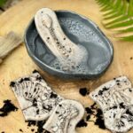 Dig And Discover – Ankylosaurus & Tyrannosaurus Rex (4)