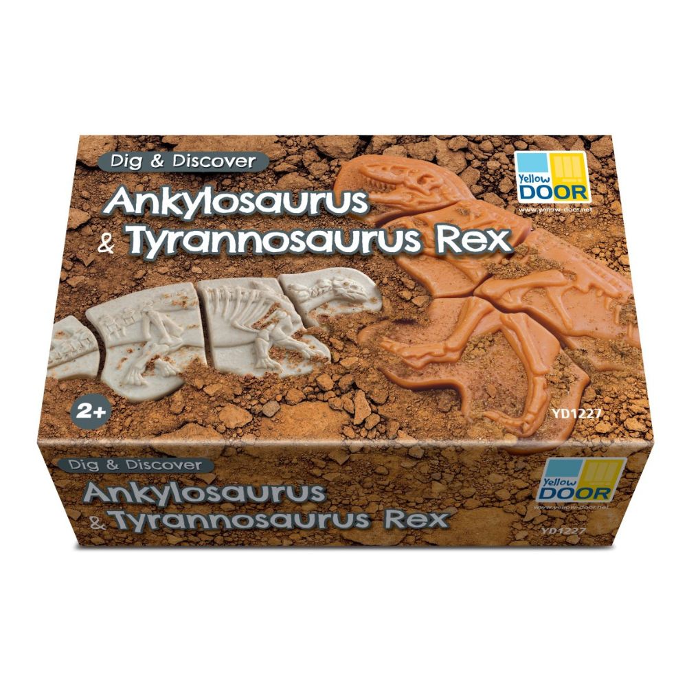 Dig And Discover – Ankylosaurus & Tyrannosaurus Rex (5)