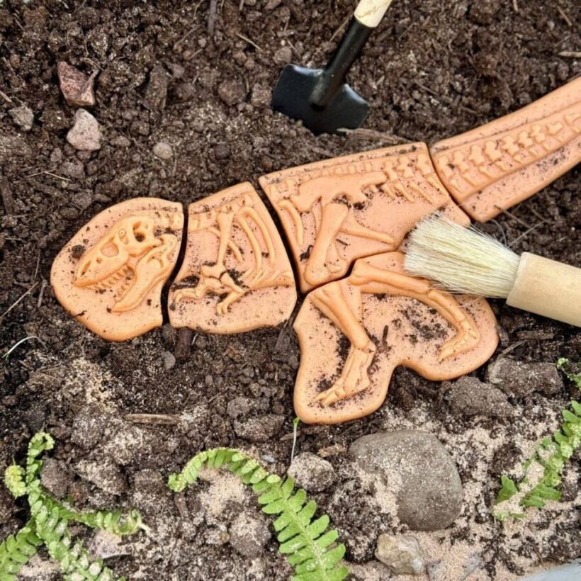 Dig And Discover – Ankylosaurus & Tyrannosaurus Rex (7)