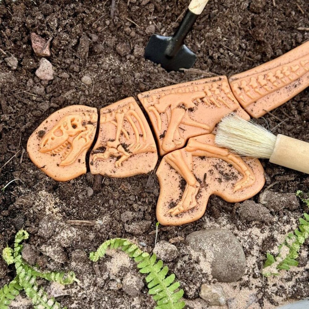 Dig And Discover – Ankylosaurus & Tyrannosaurus Rex (7)