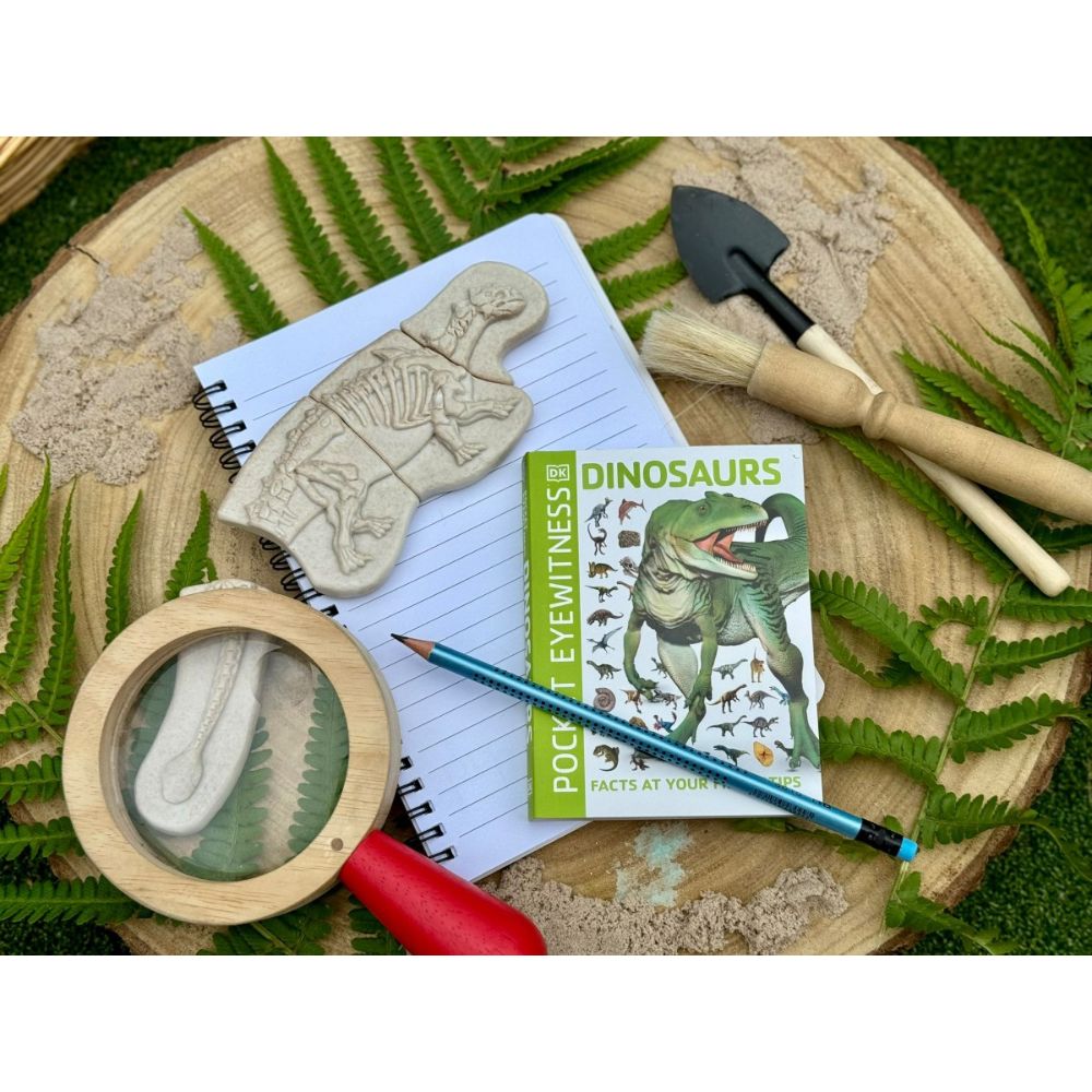 Dig And Discover – Ankylosaurus & Tyrannosaurus Rex (9)