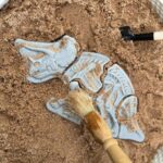 Dig And Discover – Triceratops & Spinosaurus (1)