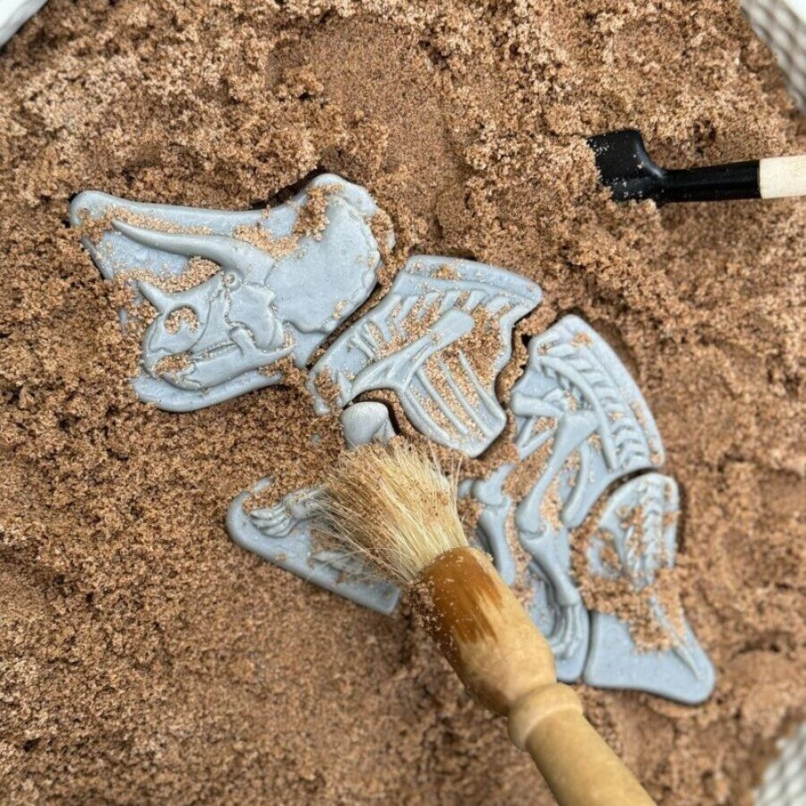 Dig And Discover – Triceratops & Spinosaurus (1)