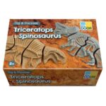 Dig And Discover – Triceratops & Spinosaurus (11)